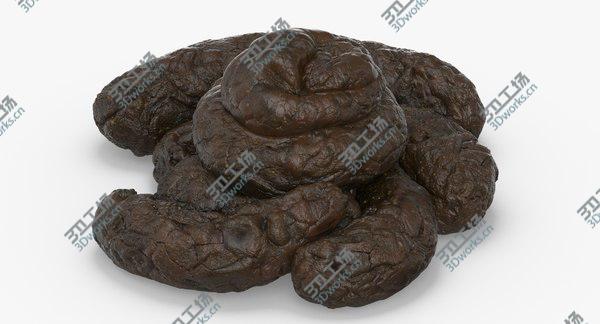 images/goods_img/20210312/Turd Crap 3D model/5.jpg
